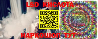 ешки Новозыбков