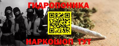 ешки Новозыбков