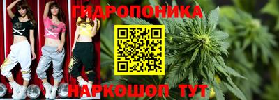ешки Новозыбков