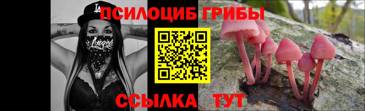 Псилоцибиновые грибы мухоморы  Вход с VPN  Ставрополь 