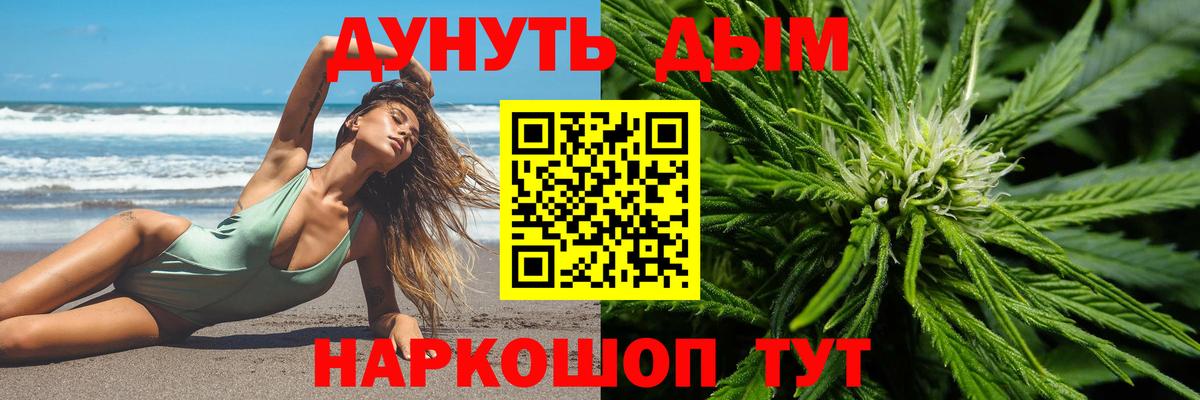 Конопля семена  Марихуана ГИДРОПОН  Вход с VPN  Бошки марихуана план  Бошки Шишки план  Ставрополь 